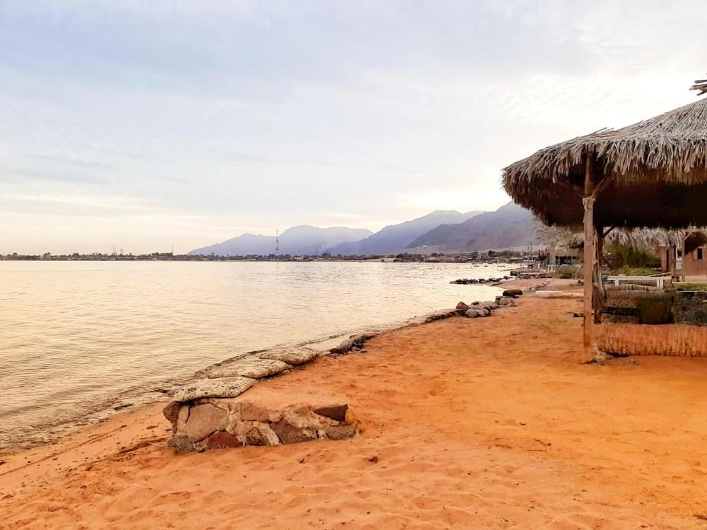 Sababa Beach Camp Bed & Breakfast Nuweiba Exterior photo